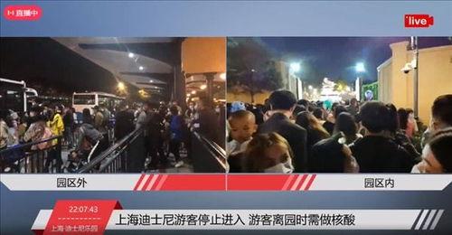 上海直播在线观看,实时在线观看，尽享城市风采  第3张